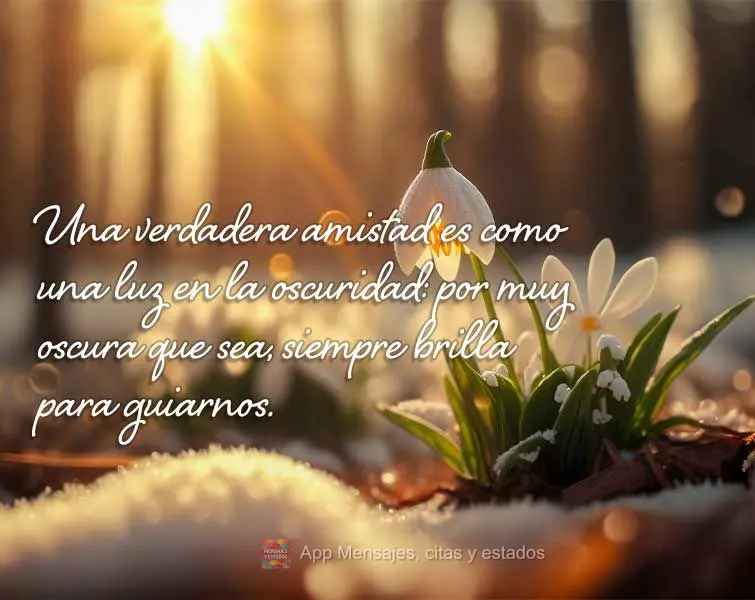 Una verdadera amistad es como una luz en la oscuridad: por muy oscura que sea, siempre brilla para guiarnos.