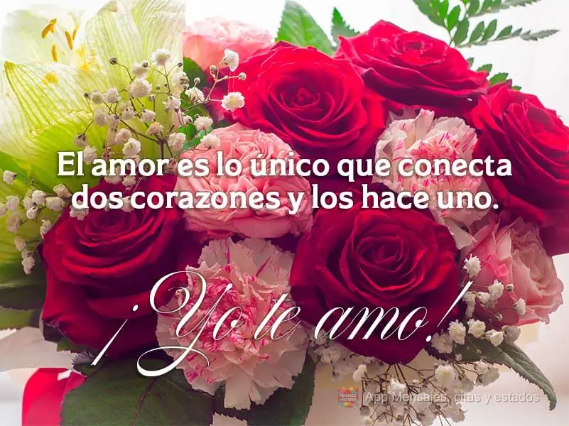 El amor es lo único que conecta dos corazones y los hace uno. ¡Yo te amo!