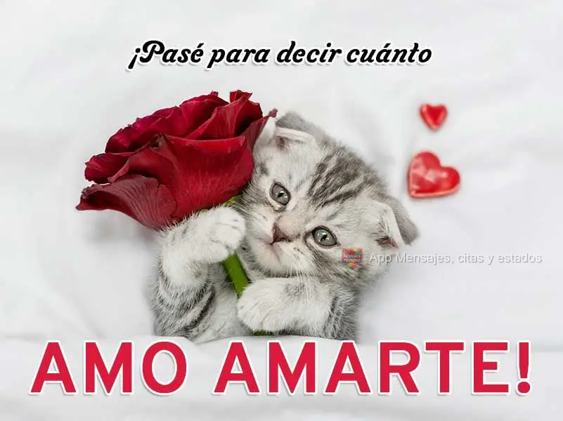¡Pasé para decir cuánto amo amarte!