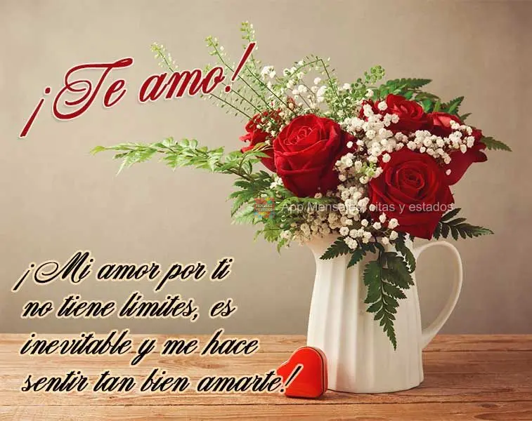 ¡Mi amor por ti no tiene límites, es inevitable y me hace sentir tan bien amarte! ¡Te amo!