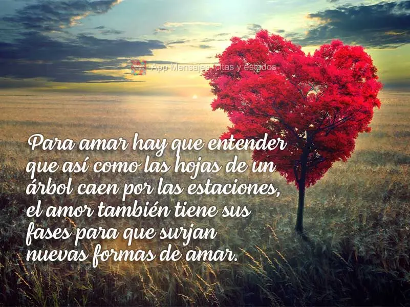 Para amar hay que entender que así como las hojas de un árbol caen por las estaciones, el amor también tiene sus fases para que surjan nuevas formas d...