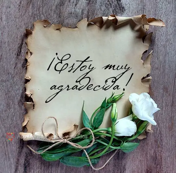 ¡Estoy muy agradecida!