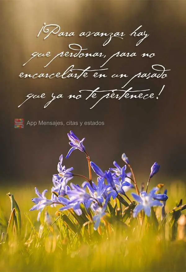 Para seguir adiante é preciso perdoar, para que não se aprisione em um passado que não lhe pertence mais!
