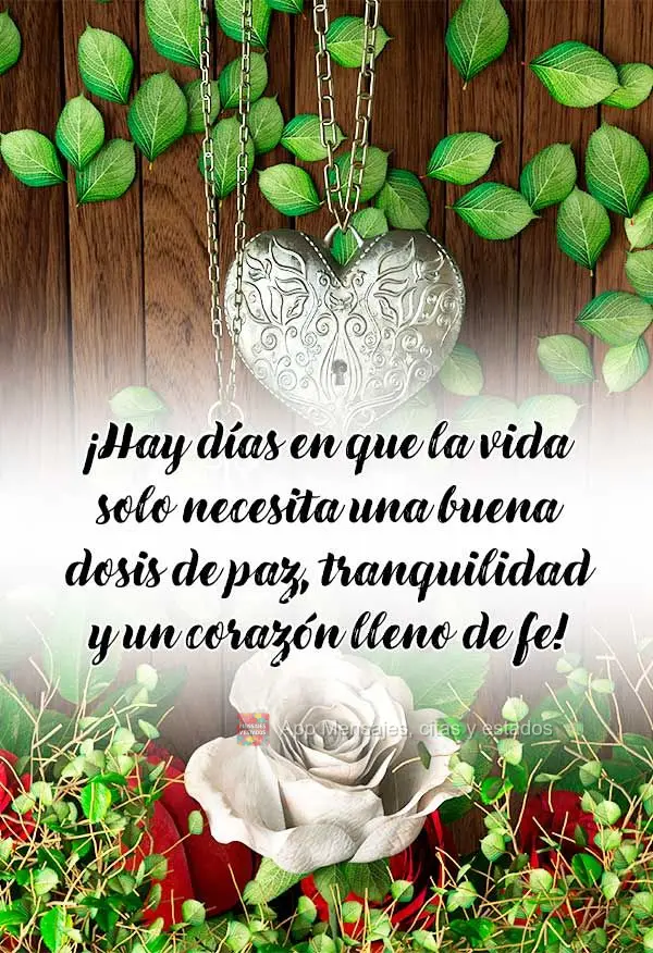 ¡Hay días en que la vida solo necesita una buena dosis de paz, tranquilidad y un corazón lleno de fe!