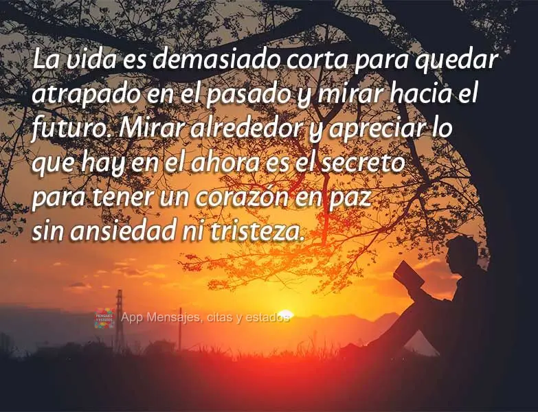 A vida é curta demais para ficar preso no passado e ansiar pelo futuro. Olhar ao seu redor e apreciar o que está no agora é o segredo para se ter um c...