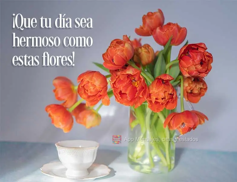 ¡Que tu día sea hermoso como estas flores!