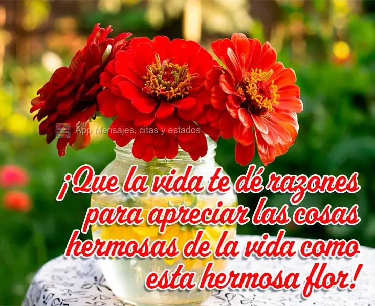 ¡Que la vida te dé razones para apreciar las cosas hermosas de la vida como esta hermosa flor!