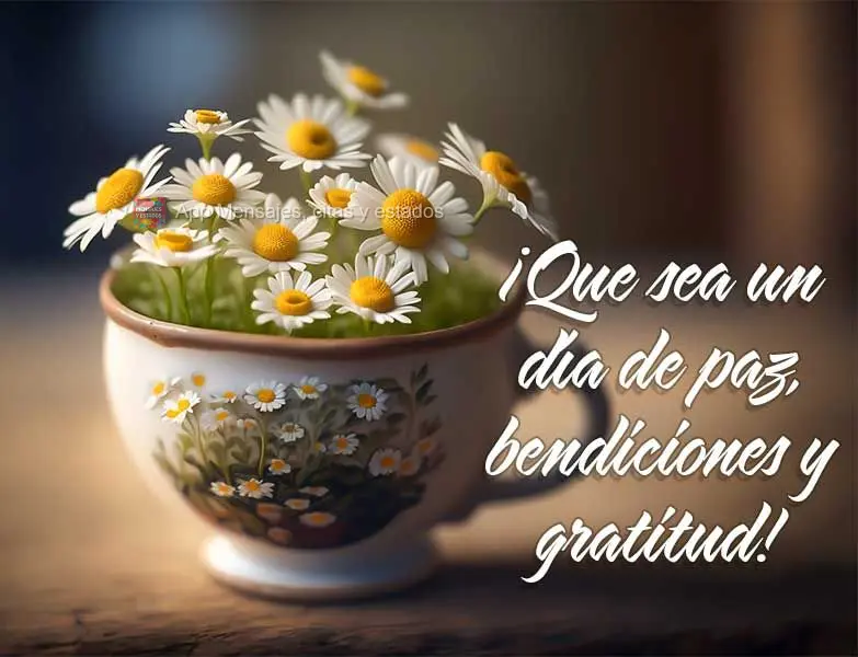 ¡Que sea un día de paz, bendiciones y gratitud!