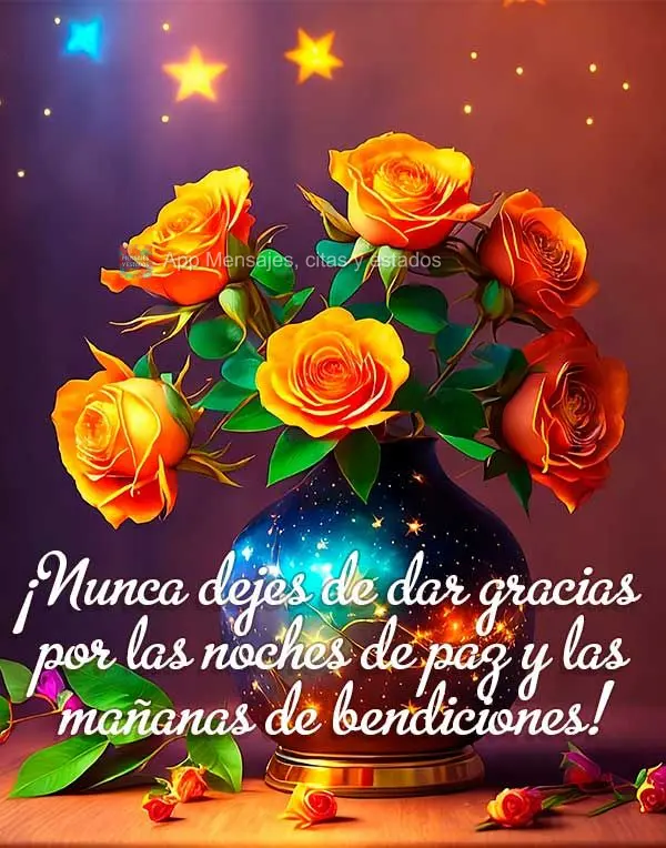 ¡Nunca dejes de dar gracias por las noches de paz y las mañanas de bendiciones!