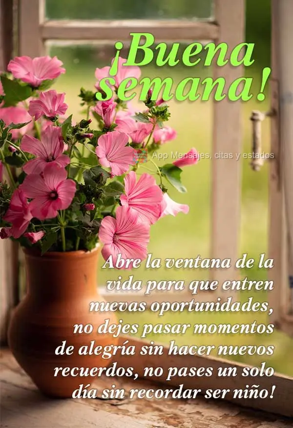 Abre la ventana de la vida para que entren nuevas oportunidades, no dejes pasar momentos de alegría sin hacer nuevos recuerdos, no pases un solo día si...