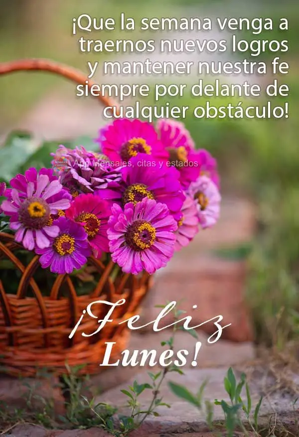 ¡Que la semana venga a traernos nuevos logros y mantener nuestra fe siempre por delante de cualquier obstáculo! ¡Feliz lunes!