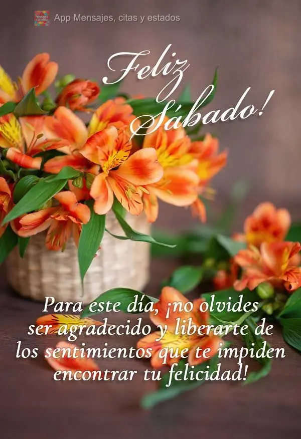 Para este día, ¡no olvides ser agradecido y liberarte de los sentimientos que te impiden encontrar tu felicidad! Feliz Sábado! 