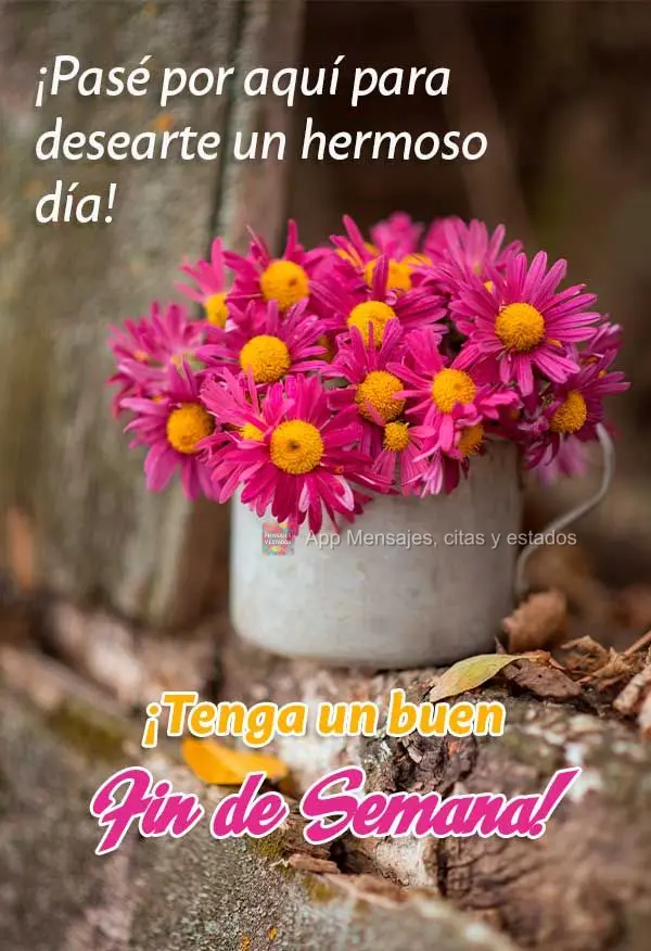 ¡Pasé por aquí para desearte un hermoso día! ¡Tenga un buen fin de semana!