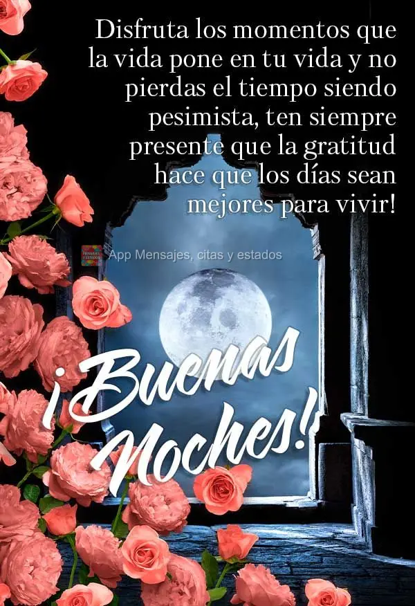 Aproveite os momentos que a vida colocar na sua vida e não desperdice seu tempo sendo pessimista, tenha sempre em mente que a gratidão leva os dias se ...