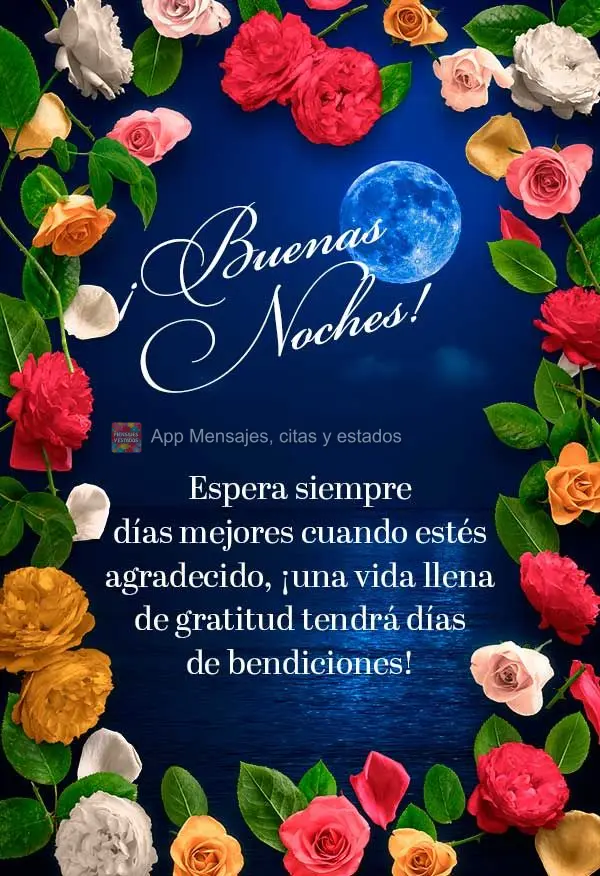 Espere sempre por dias melhores quando for agradecer, uma vida cheia de gratidão terão dias de bênçãos! Boa noite! 