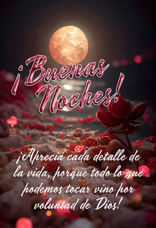 Aprecie cada detalhe da vida, pois tudo que podemos tocar veio pela vontade de Deus! Boa noite!