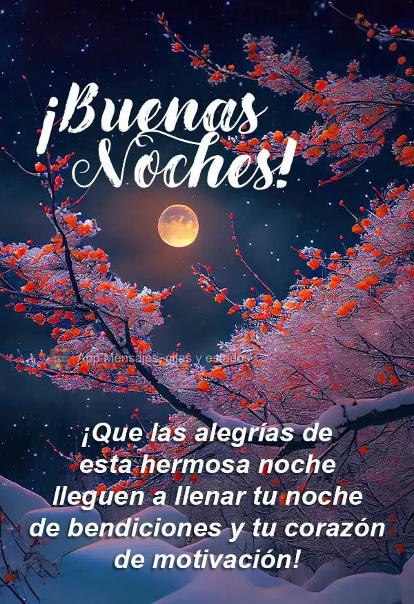 ¡Que las alegrías de esta hermosa noche lleguen a llenar tu noche de bendiciones y tu corazón de motivación! ¡Buenas noches!