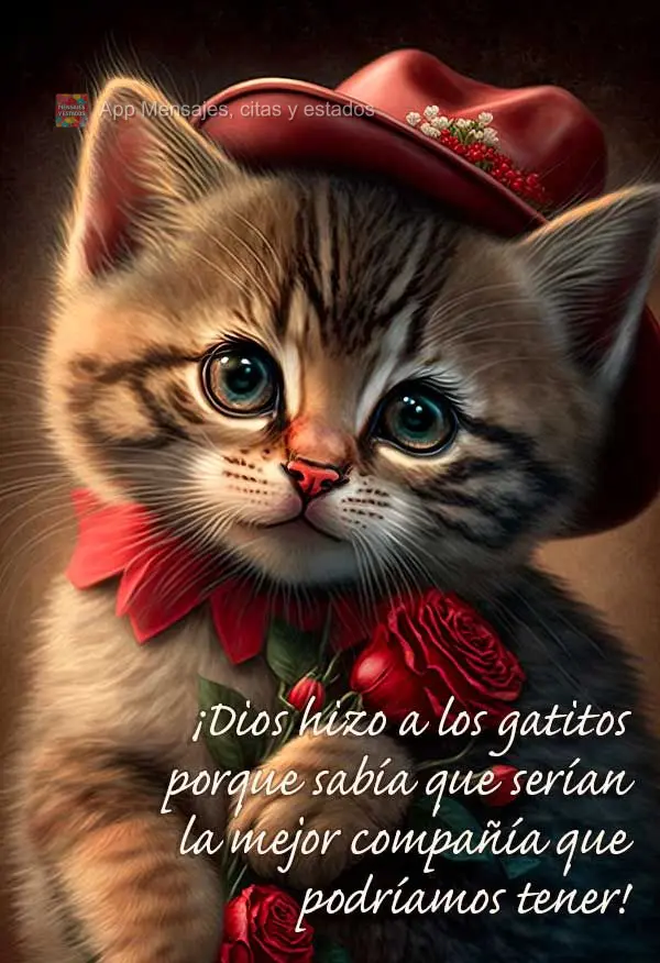 Deus fez os gatinhos porque sabia que seriam as melhores companhias que  poderíamos ter!