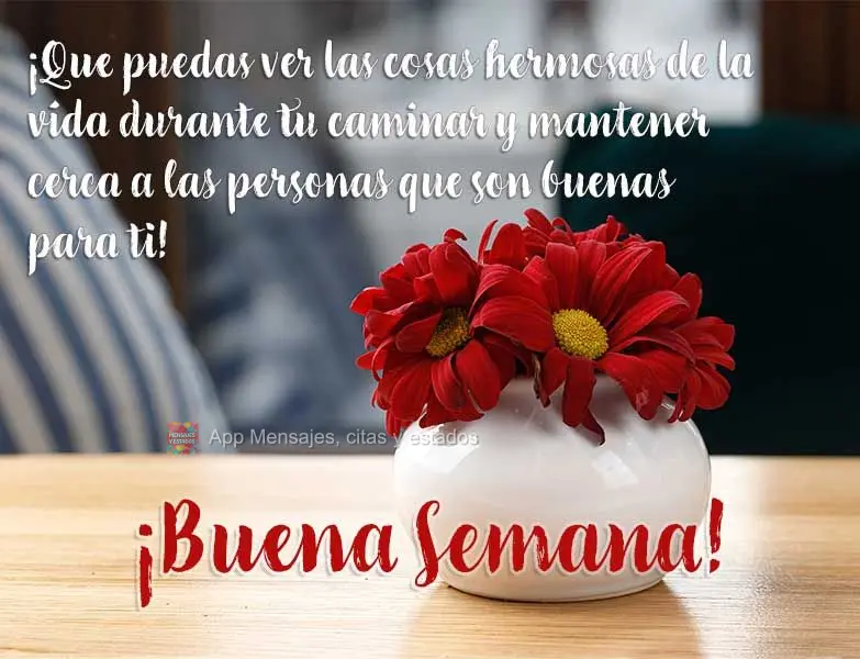 ¡Que puedas ver las cosas hermosas de la vida durante tu caminar y mantener cerca a las personas que son buenas para ti! ¡Buena semana!