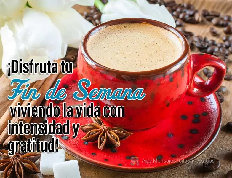 Aproveite o seu Final de Semana vivendo a vida com intensidade e gratidão!