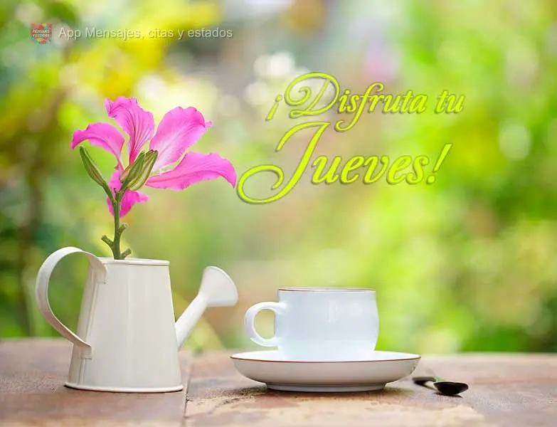 ¡Disfruta tu jueves!