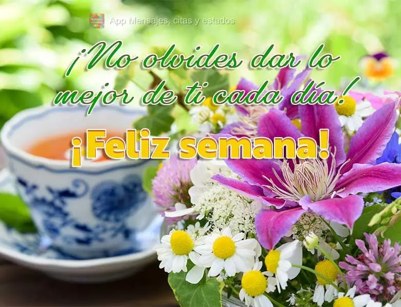 Não esqueça de dar o seu melhor todo dia! Feliz Semana!