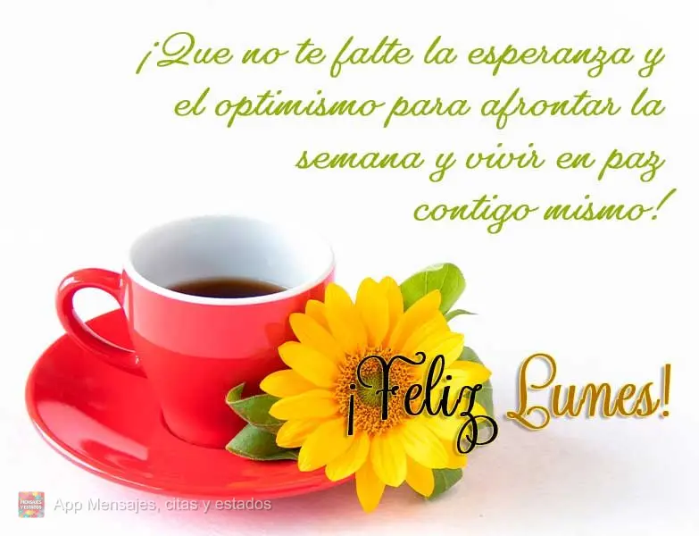 ¡Que no te falte la esperanza y el optimismo para afrontar la semana y vivir en paz contigo mismo! ¡Feliz lunes!