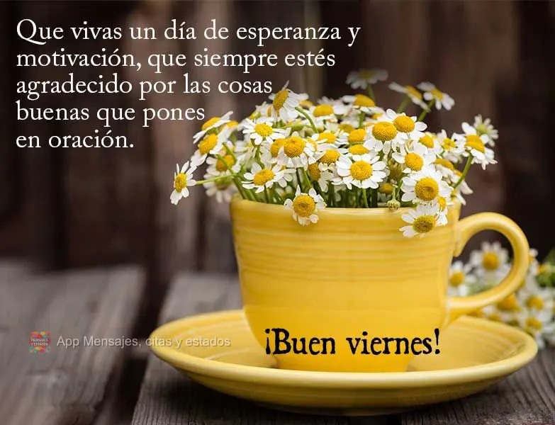 Que você viva um dia de esperança e motivação, que possa estar sempre agradecendo pelas coisas boas que coloca em oração. Boa Sexta-feira!