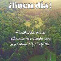 Adaptar-se às situações pode ser uma tarefa difícil, mas não impossível, seguir confiante é necessário para atravessar as fases difíceis da vida...
