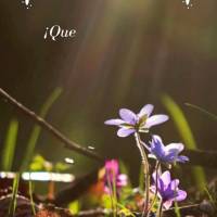 Que seja um dia tranquilo e que a paz do Senhor esteja com você! Bom dia!