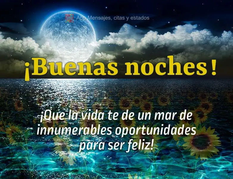 Que a vida lhe dê um mar de inúmeras oportunidades para ser feliz! Boa noite!