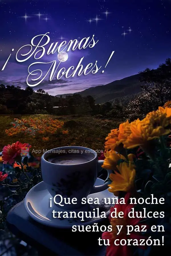 Que seja uma noite tranquila de doces sonhos e muita paz no coração! Boa noite!