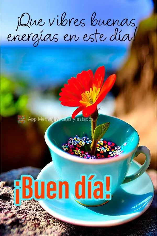 Que neste dia você vibre boas energias! Bom dia!