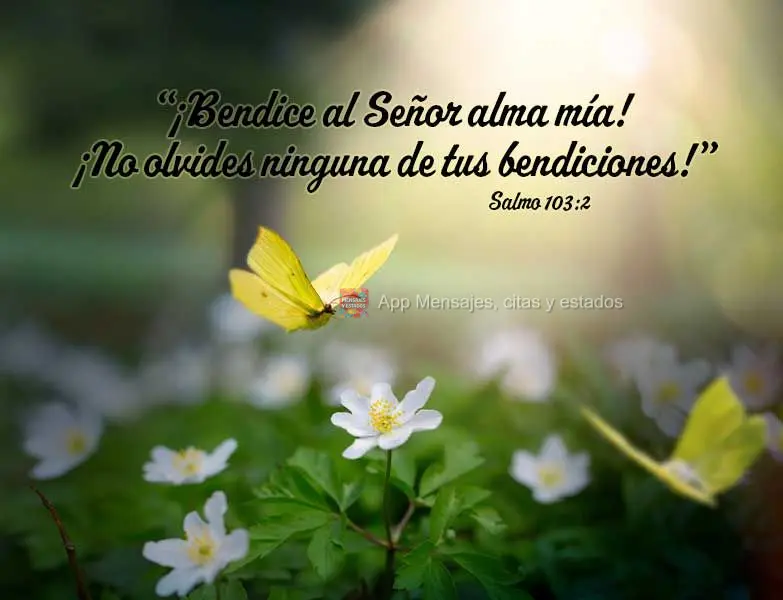 “¡Bendice al Señor alma mía! ¡No olvides ninguna de tus bendiciones!” Salmo 103:2