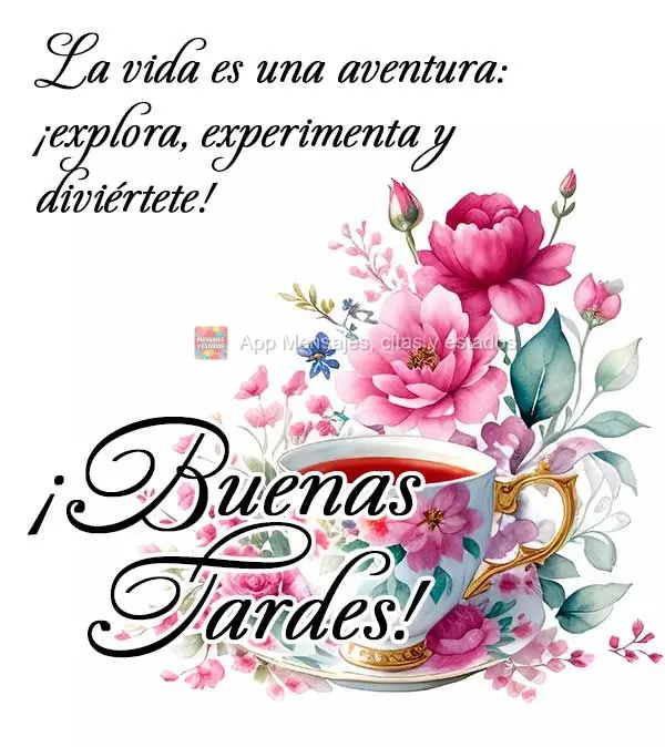 A vida é uma aventura - explore, experimente e divirta-se! Boa tarde!