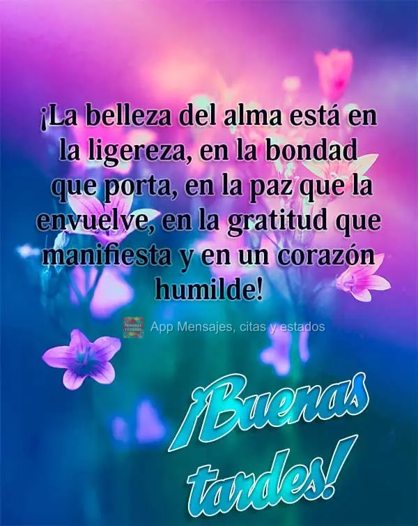 A beleza da alma está na leveza, na bondade que carrega, na paz que o cerca, na gratidão que manifesta e em um humilde coração! Boa tarde!