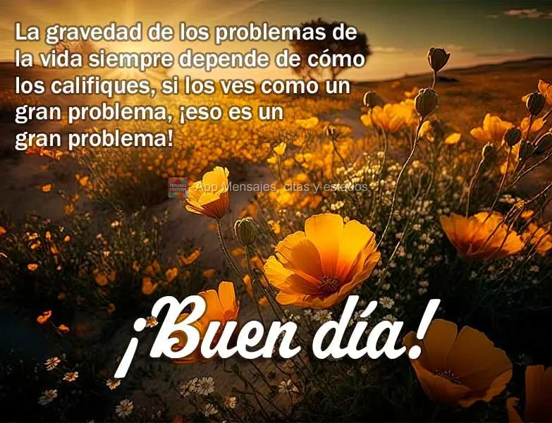 A gravidade dos problemas da vida sempre dependem de como você os qualifica, se você os enxergar com um grande problema, esse será um grande problema!...