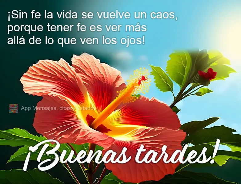 Sem fé a vida se torna um caos, porque ter fé é enxergar além do que os olhos podem ver! Boa tarde!