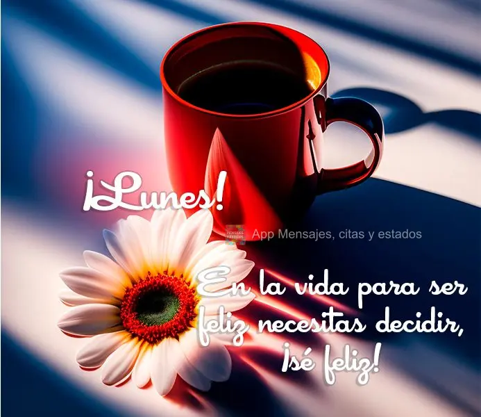 Na vida para ser feliz você precisa decidir, ser feliz! Segunda-feira! 