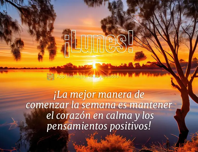 ¡La mejor manera de comenzar la semana es mantener el corazón en calma y los pensamientos positivos! ¡Lunes!