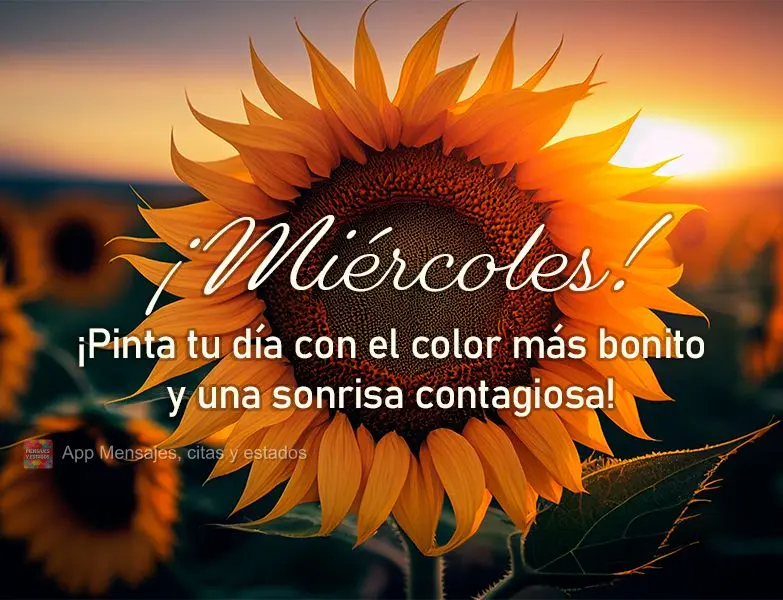 Pinte seu dia com a cor mais bonita e um sorriso contagiante! Quarta-feira!