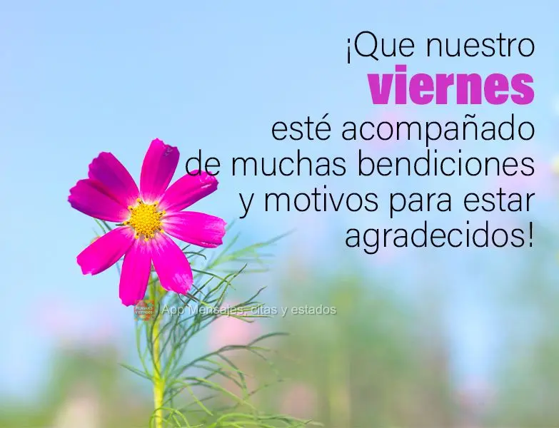 Que a nossa Sexta-feira venha acompanhada de muitas bênçãos e motivos para agradecer!