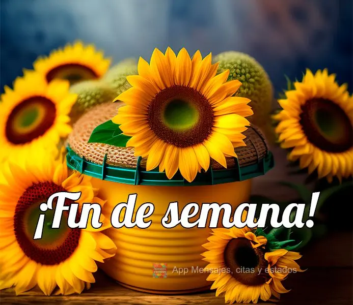 Feliz Domingo!