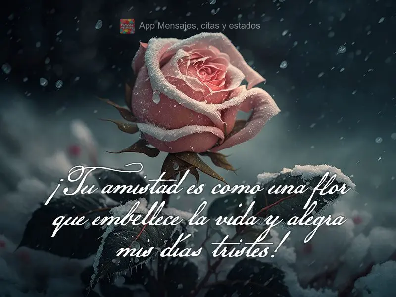¡Tu amistad es como una flor que embellece la vida y alegra mis días tristes!