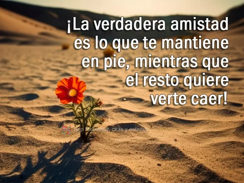 ¡La verdadera amistad es lo que te mantiene en pie, mientras que el resto quiere verte caer!
