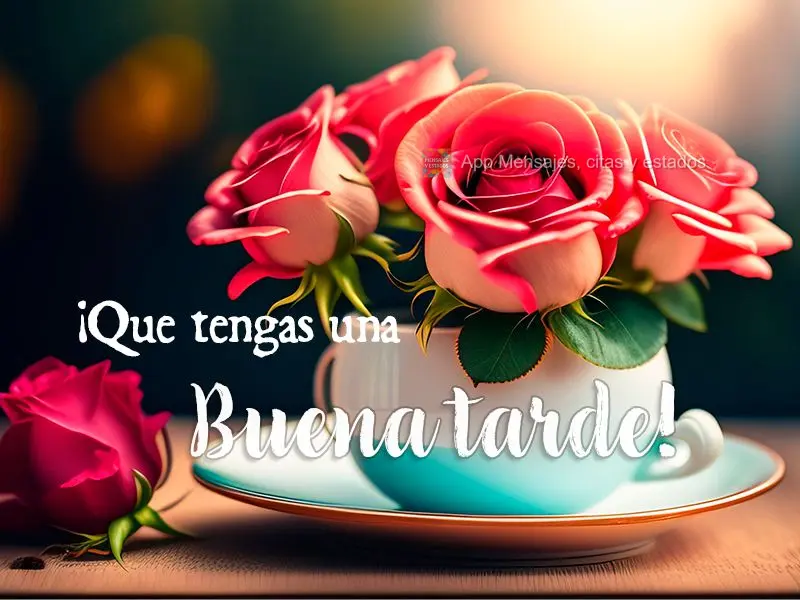 Tenha uma boa tarde!