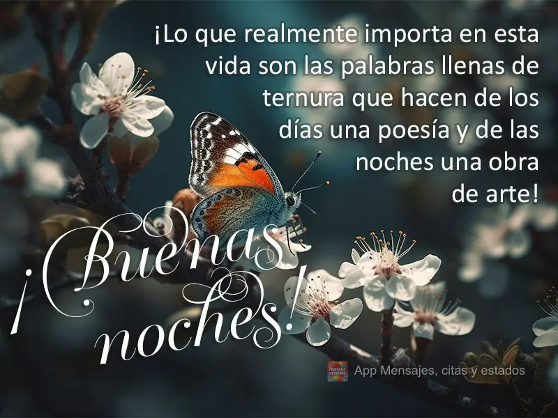 ¡Lo que realmente importa en esta vida son las palabras llenas de ternura que hacen de los días una poesía y de las noches una obra de arte! ¡Buenas ...