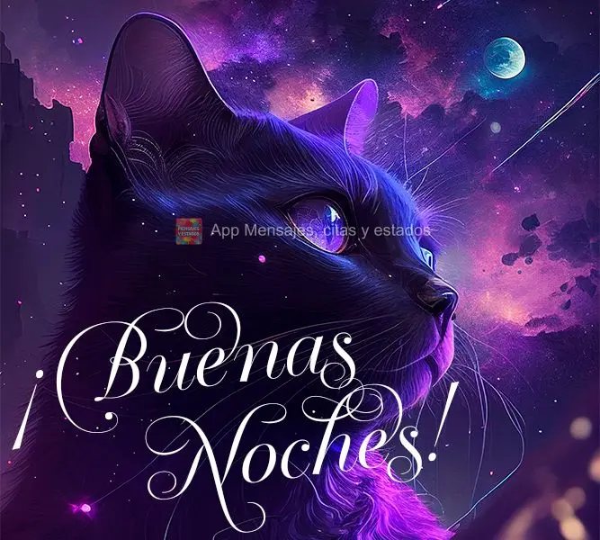 ¡Buenas noches!