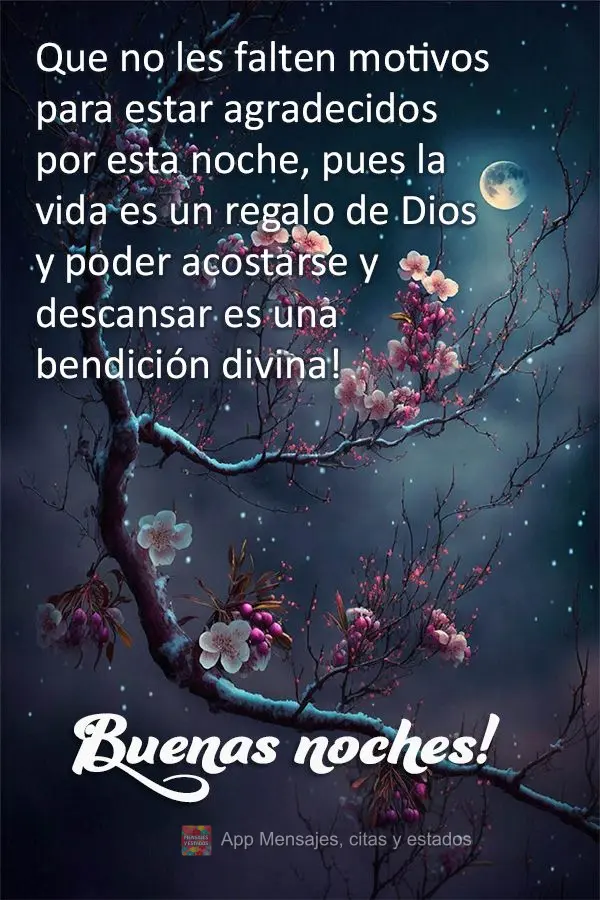 Que não lhe falte motivos para ser grato por esta noite, pois a vida é um presente de Deus e poder deitar e descansar é uma bênção divina! Boa noit...