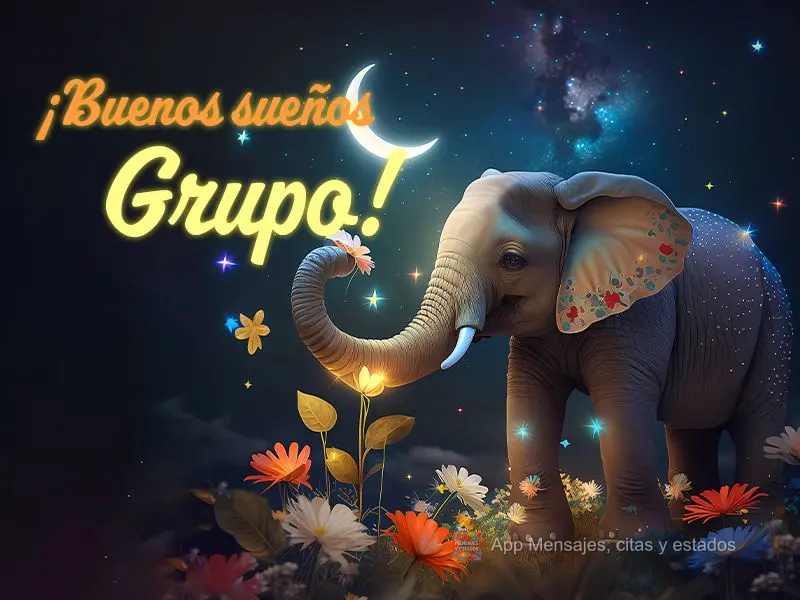 ¡Buenos sueños Grupo!